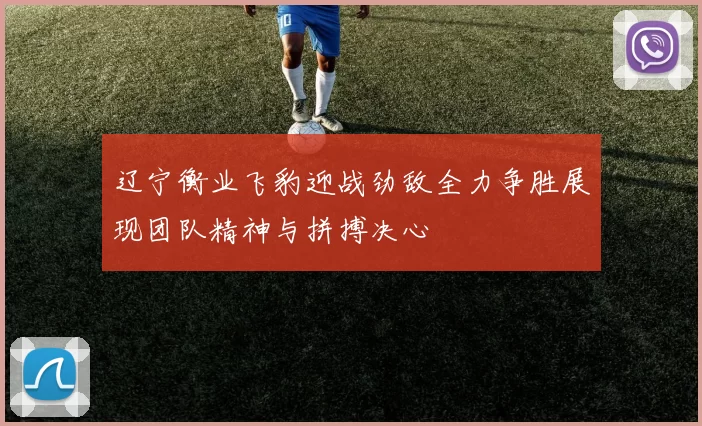 辽宁衡业飞豹迎战劲敌全力争胜展现团队精神与拼搏决心