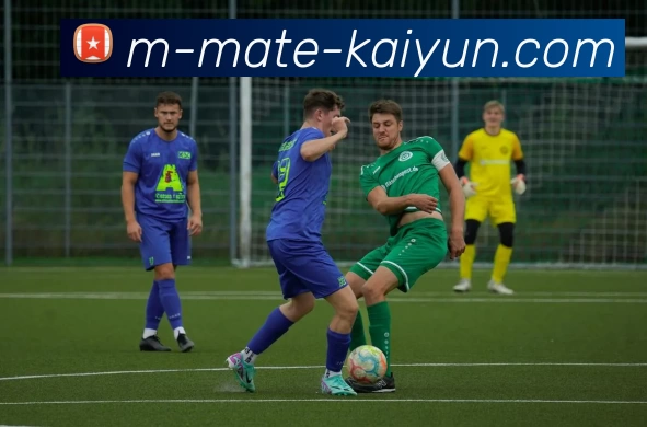 App Interface Preview